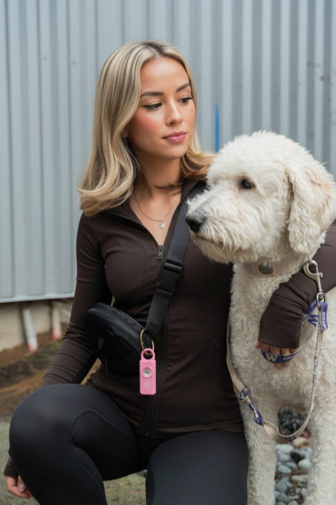 SheSafe image 6